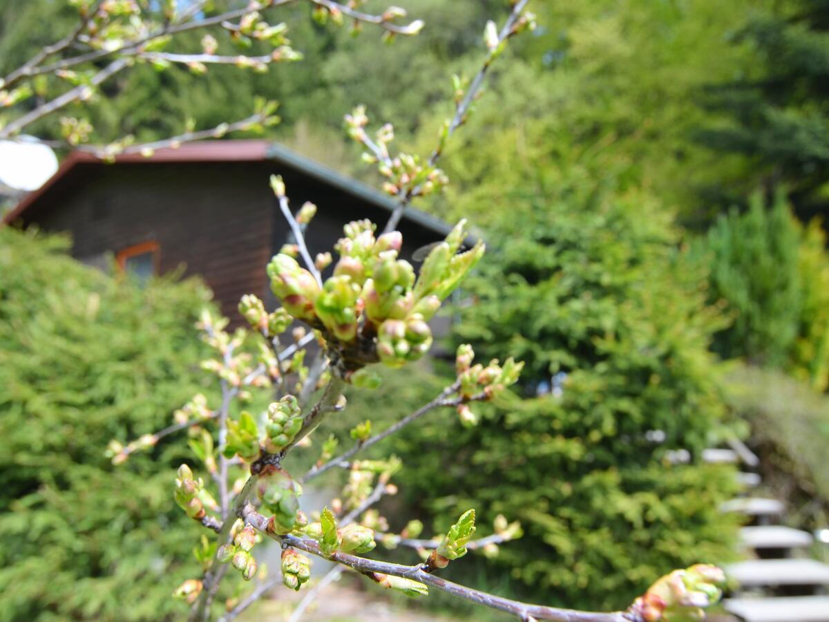 Holiday Home With Terrace Stadlern Esterno foto